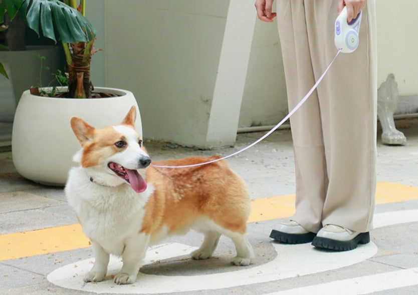 Automatic Retractable Leash