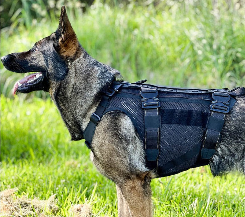 No-Pull Dog Harness Makes Your Dog Walking More Enjoyable!