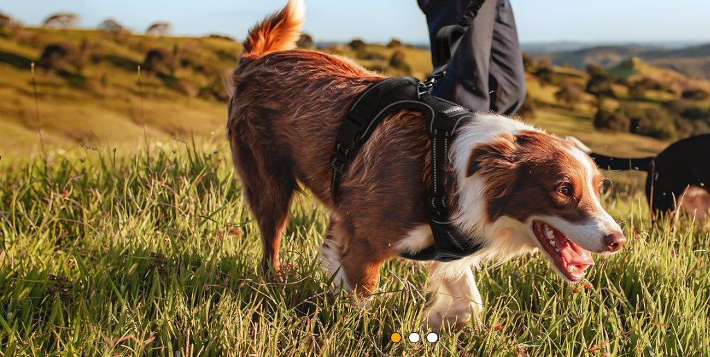 tactical no-pull dog harness