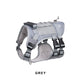 Gray Pull Dog Harness