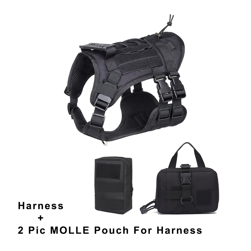 Harness and molle pouch for harness