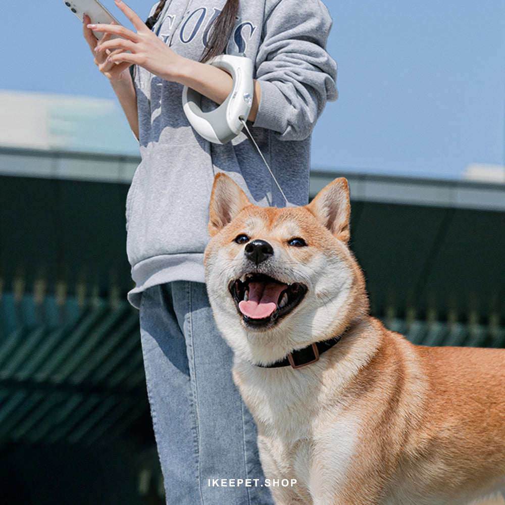 Multi-Functional Ring-Shaped Automatic Retractable Leash With Breathing Light