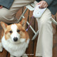 automatic retractable pet leash