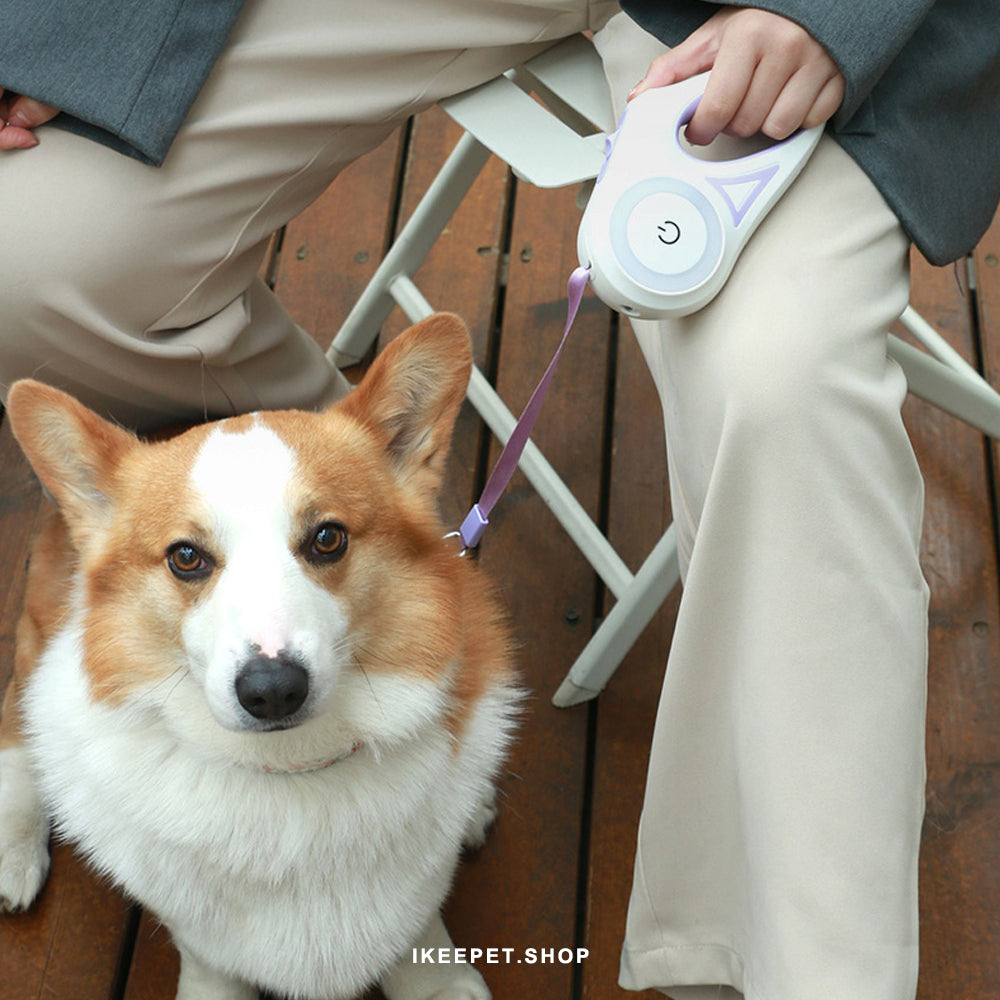 automatic retractable pet leash