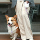 Llluminated Automatic Retractable Pet Leash