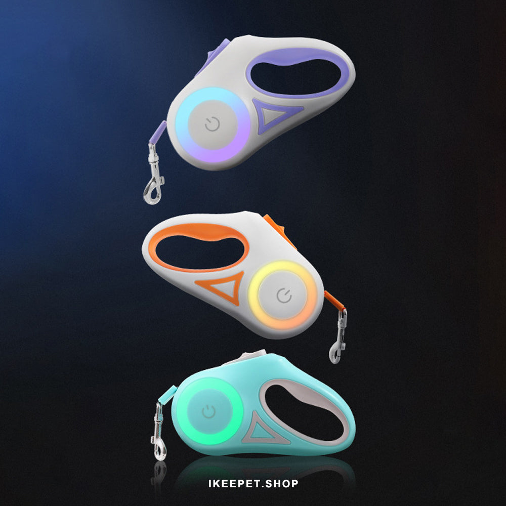 LED illuminated automatic pet leash