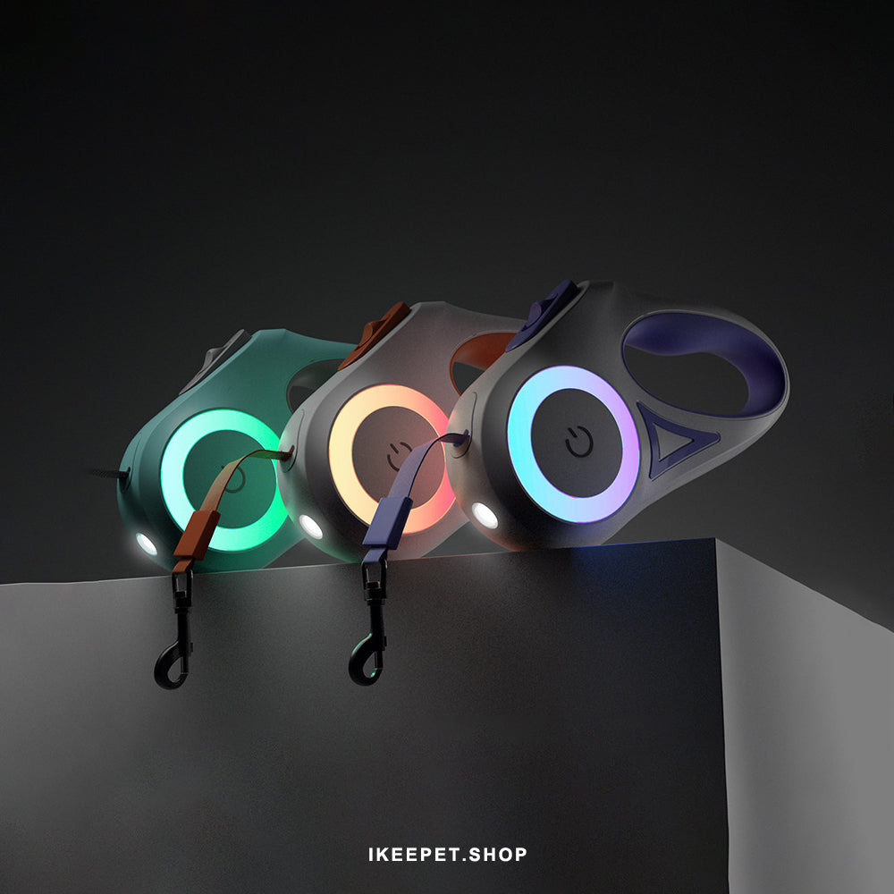 LED illuminated pet leash