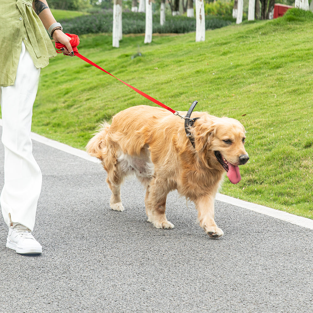 Dog Pet Leashes