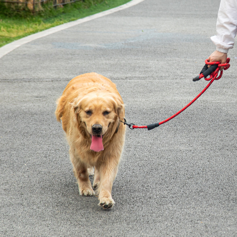 Soft grip dog leash for pet owners