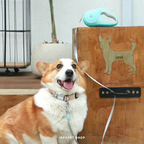 Illuminated Automatic Retractable Pet Leash: A Great Idea for Style and Safety!