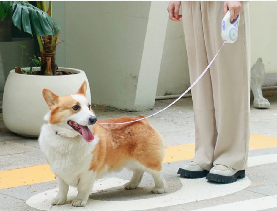 Dog Leash