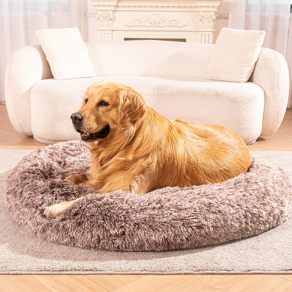 Guide to buying the best Dog Bed