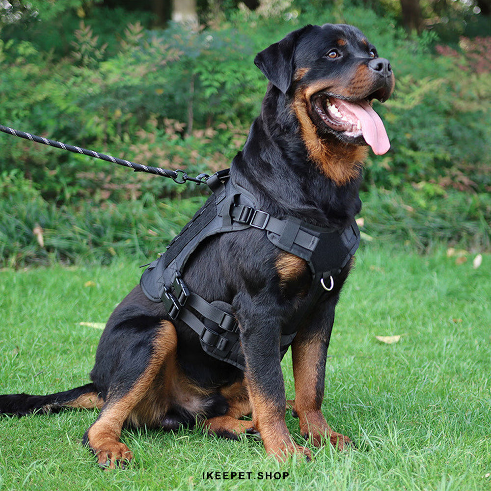 Durable pulling harness for dogs
