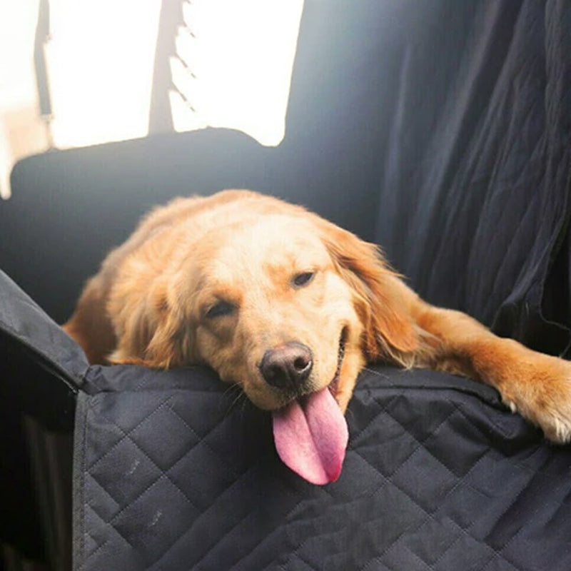 Pet-friendly car travel with a waterproof non-slip seat cover and free leash