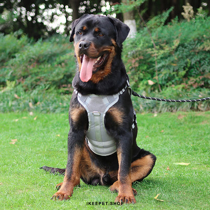 Training-friendly pull harness for dogs