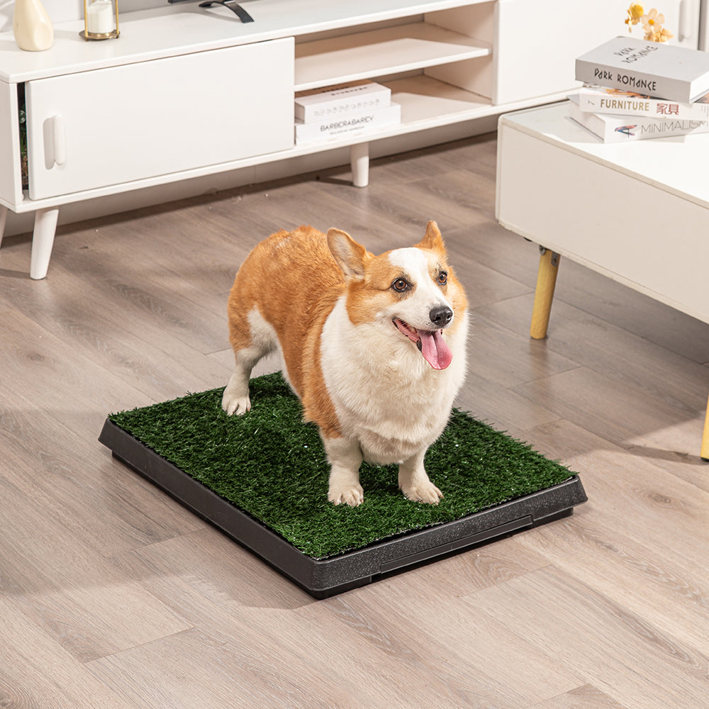 Compact and easy-to-use dog pet toilet