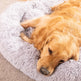 Soft and cuddly donut-shaped pet cushion