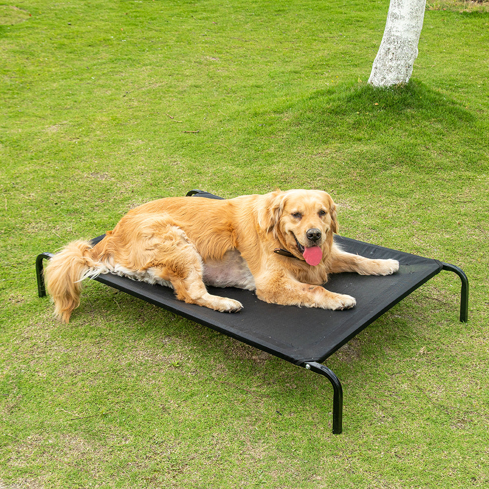 Large Elevated Dog Bed