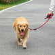 Soft grip dog leash for pet owners