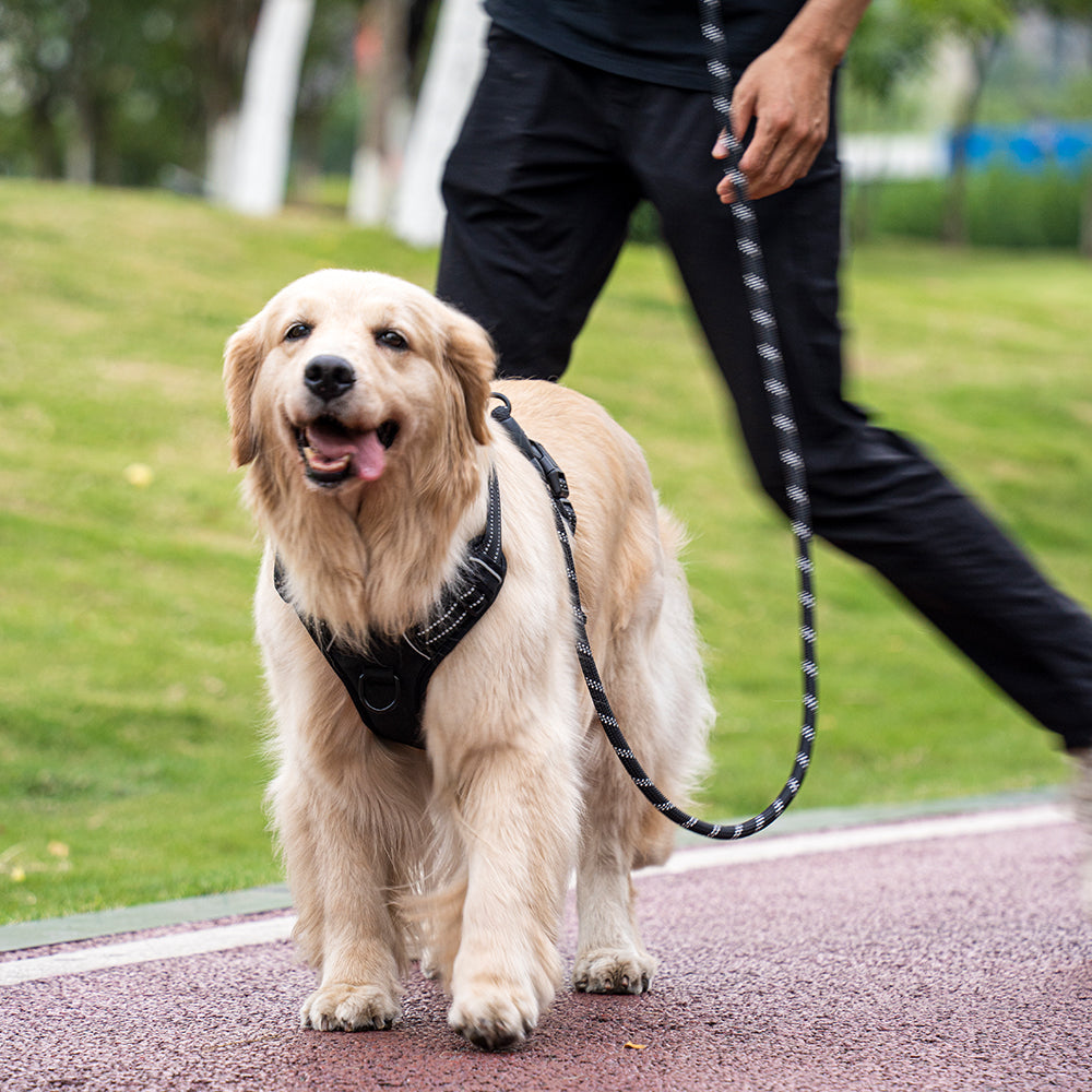 Adjustable no-pull dog harness in sizes S-XL