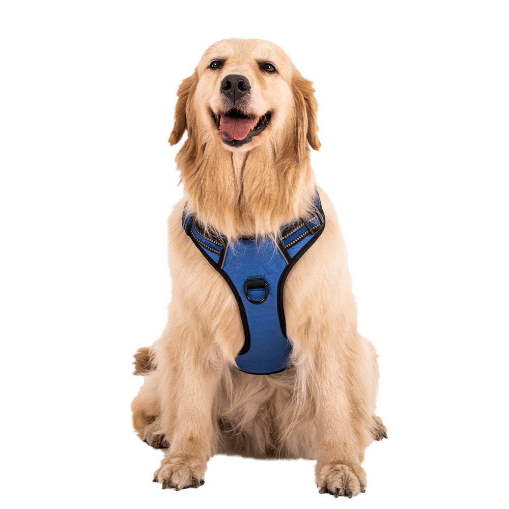 Blue S-XL Adjustable No-Pull Dog Harness