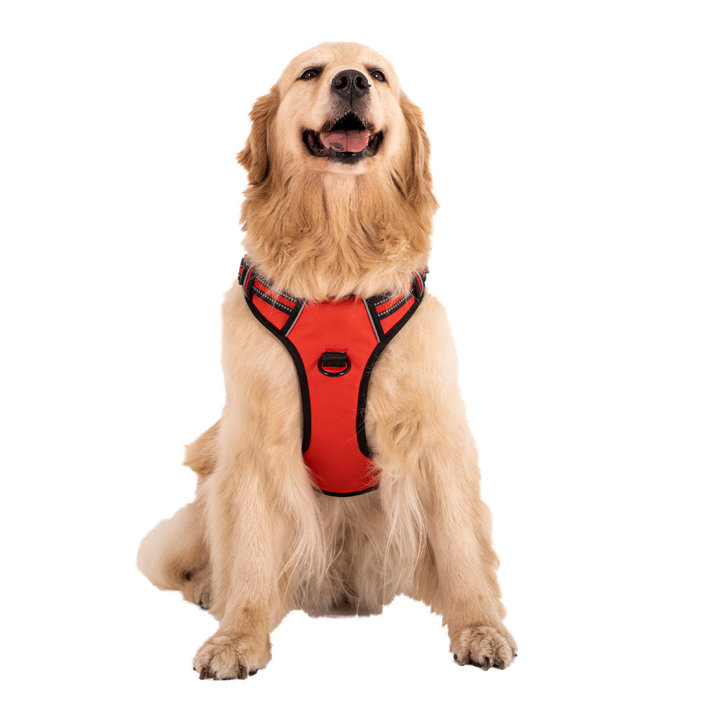 Red S-XL Adjustable No-Pull Dog Harness